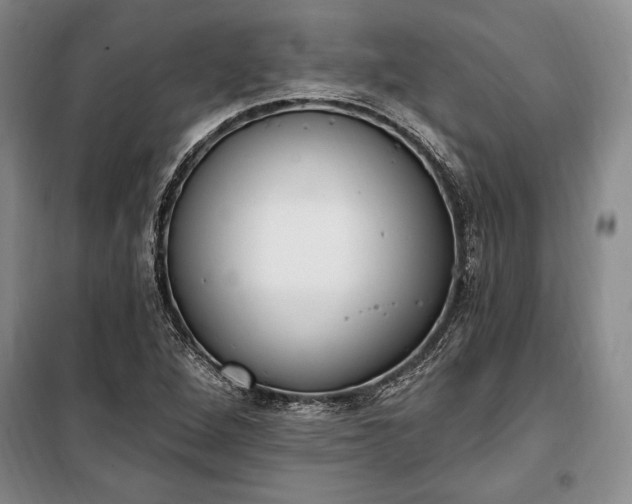 X0000100321264200806121055