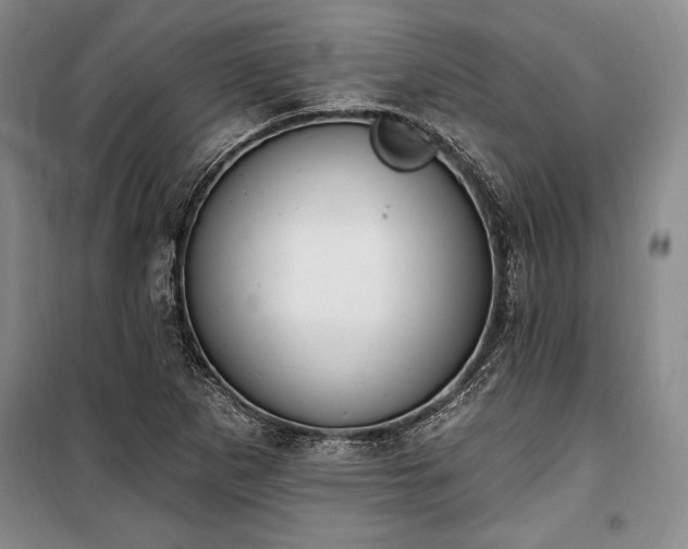 X0000100321265200806121055