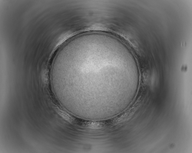 X0000100321266200806121055