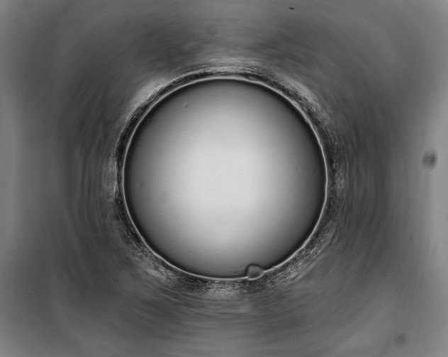 X0000100321267200806121055