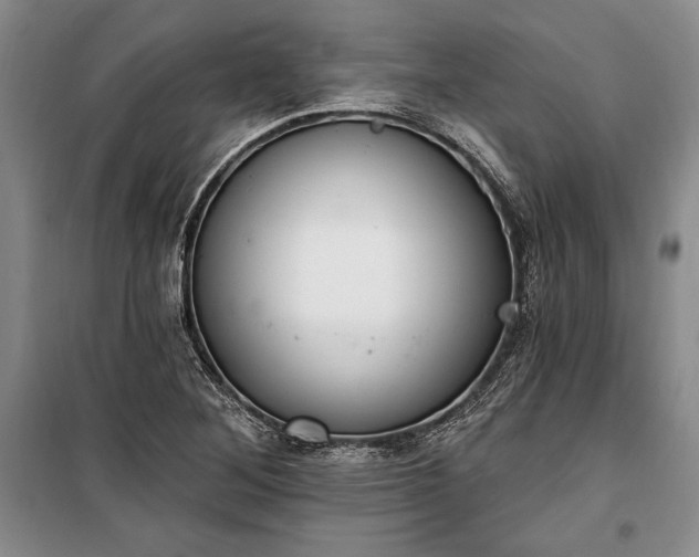 X0000100321268200806121055