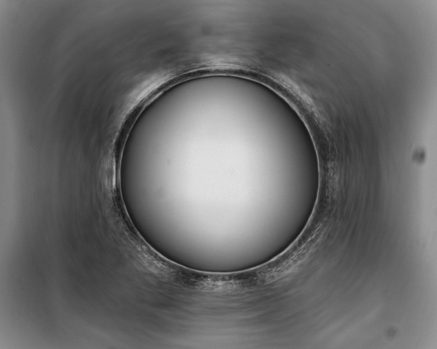 X0000100321269200806121055