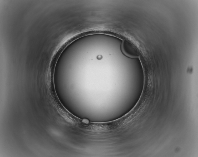 X0000100321270200806121055