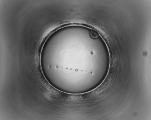 X0000100321271200806121055