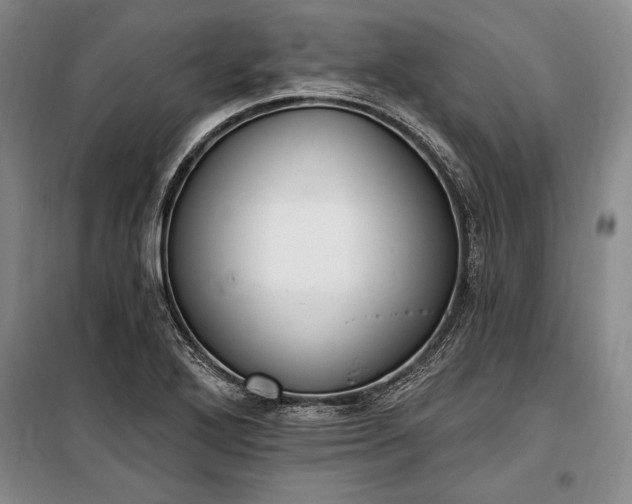 X0000100321272200806121055