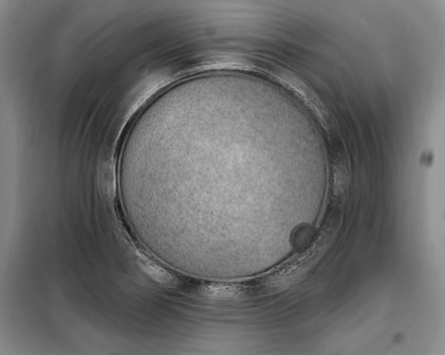 X0000100321274200806121055