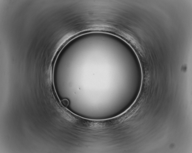 X0000100321275200806121055