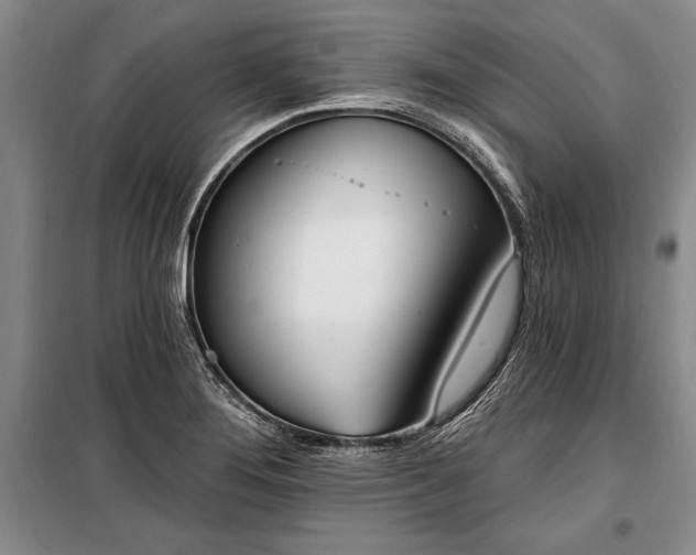 X0000100321276200806121055