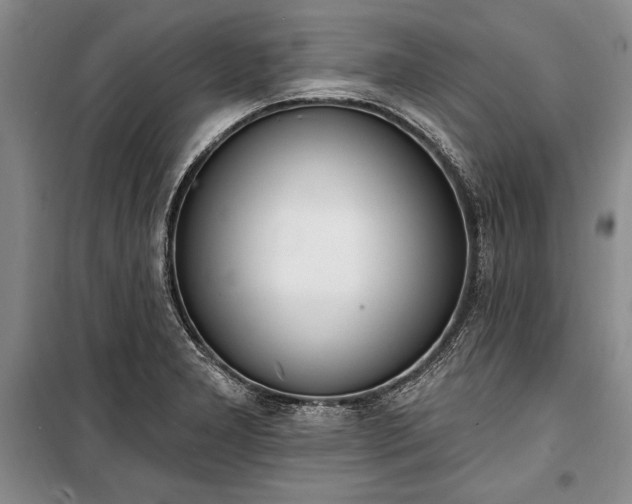 X0000100321277200806121055