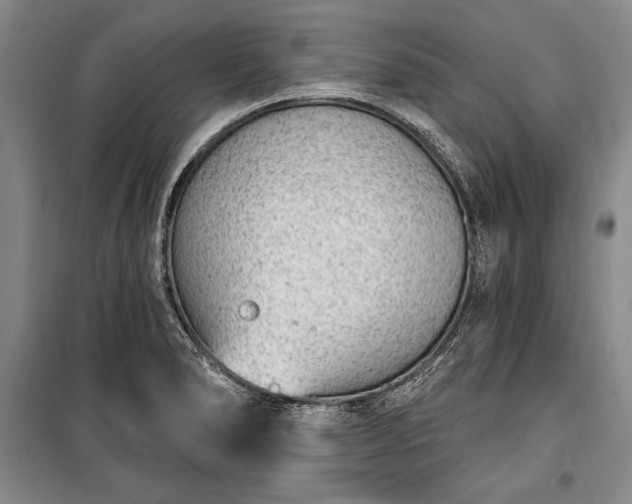 X0000100321278200806121055