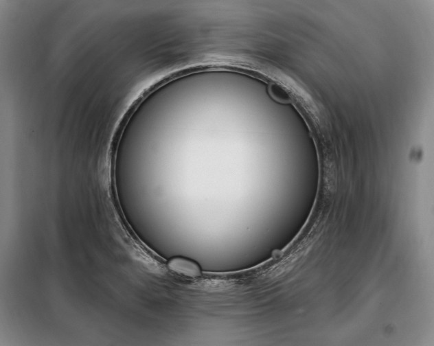 X0000100321280200806121055