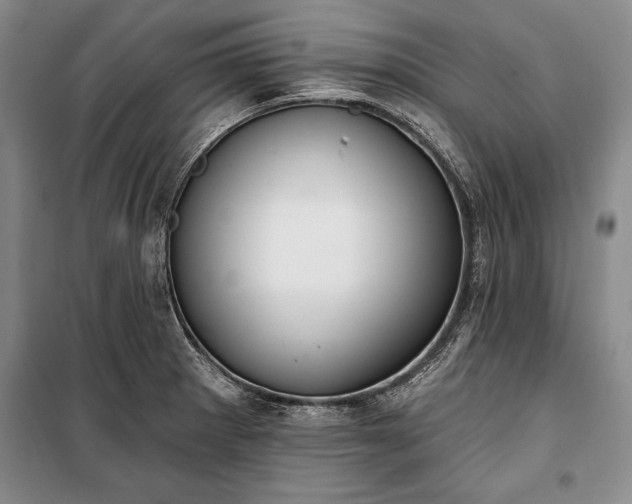 X0000100321281200806121055