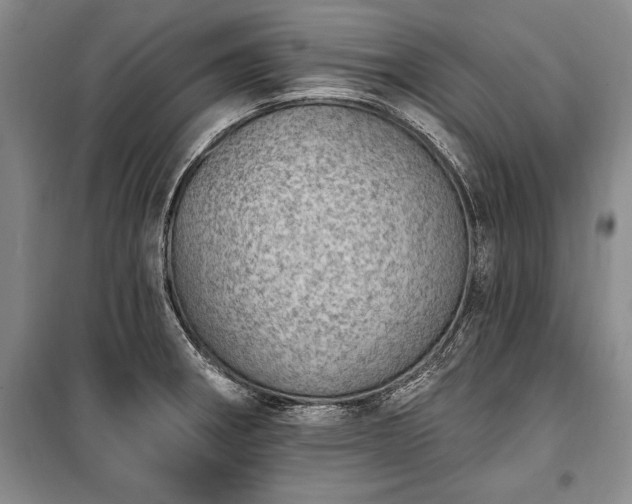 X0000100321282200806121055