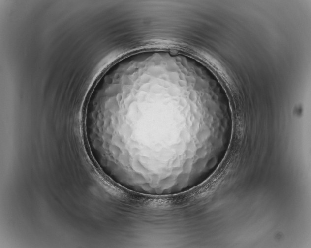 X0000100321283200806121055