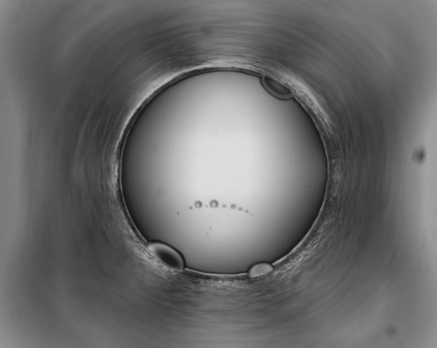 X0000100321284200806121055