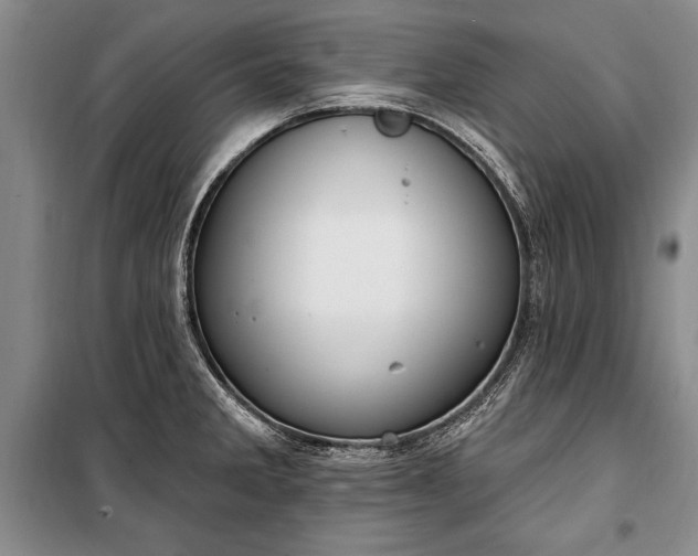 X0000100321285200806121055