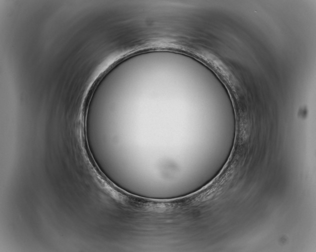 X0000100321286200806121055