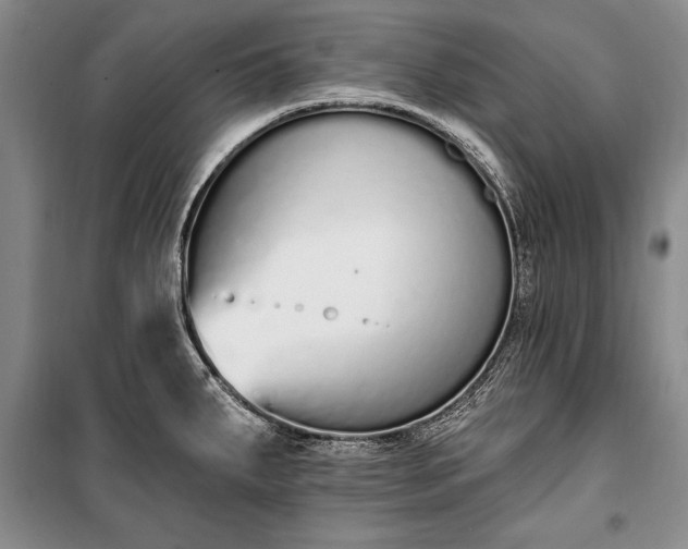 X0000100321287200806121055