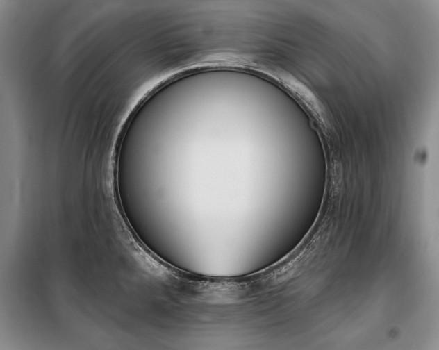 X0000100321288200806121055