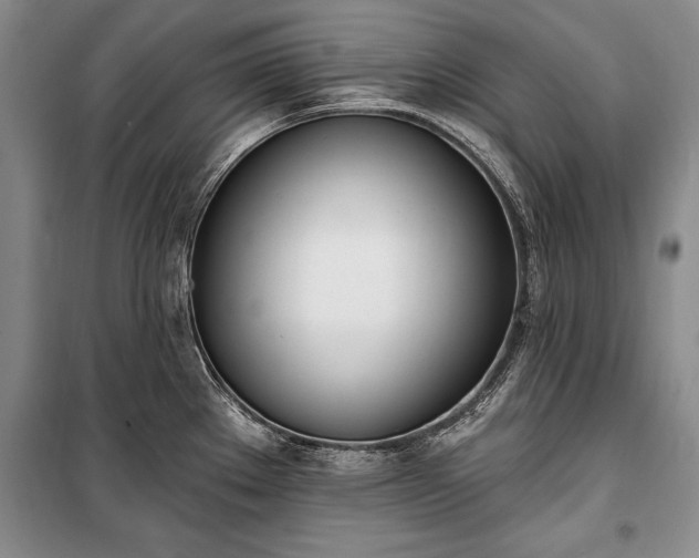 X0000100321289200806121055