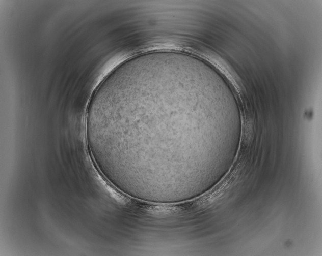 X0000100321290200806121055