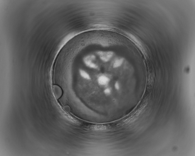 X0000100321291200806121055