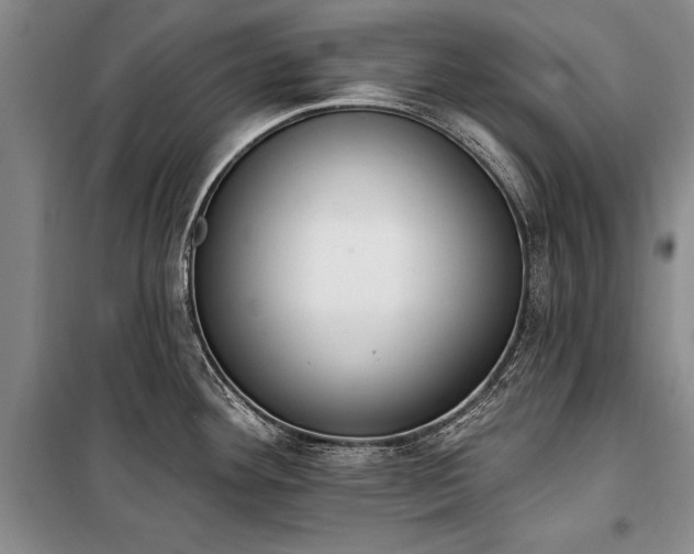 X0000100321292200806121055