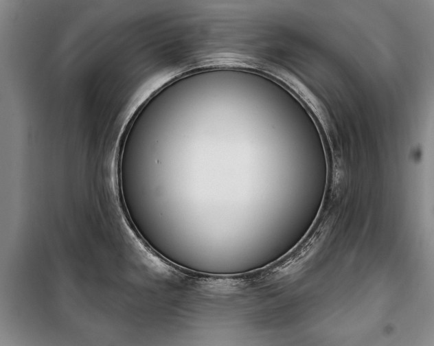 X0000100321293200806121055