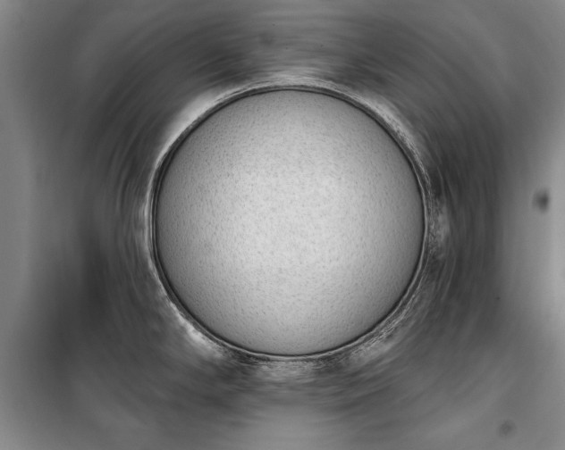 X0000100321294200806121055