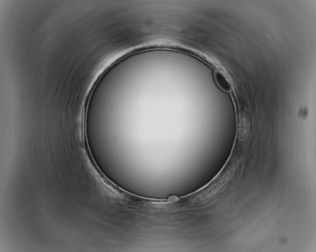 X0000100321295200806121055