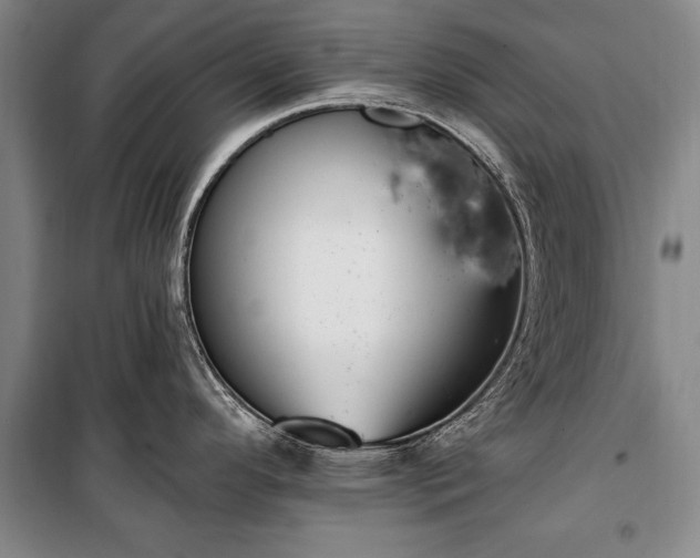 X0000100321296200806121055