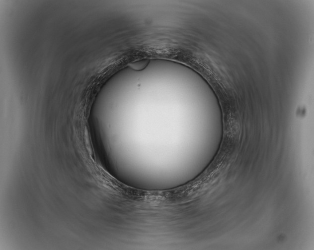 X0000100321297200806121054