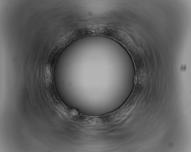 X0000100321298200806121054