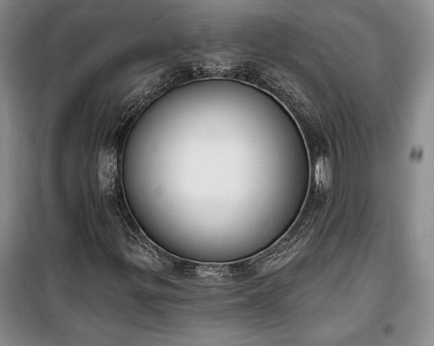 X0000100321299200806121054