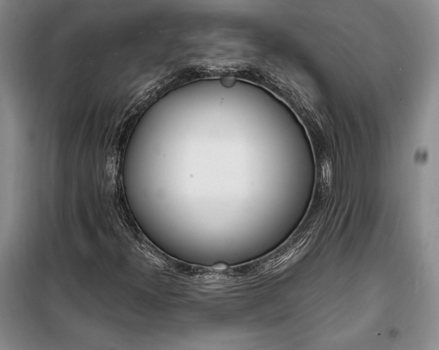 X0000100321300200806121054