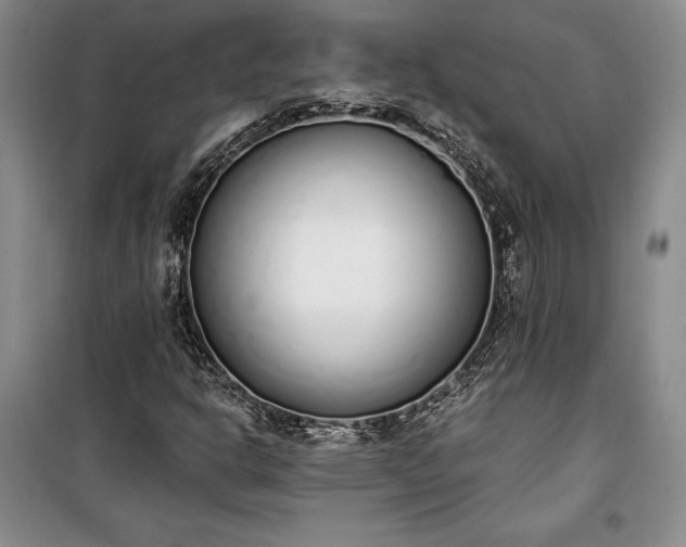 X0000100321302200806121054