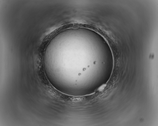 X0000100321303200806121054