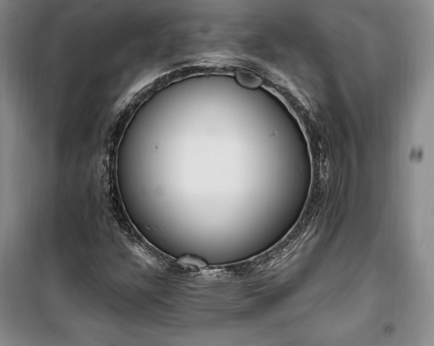 X0000100321304200806121054