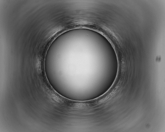 X0000100321305200806121054