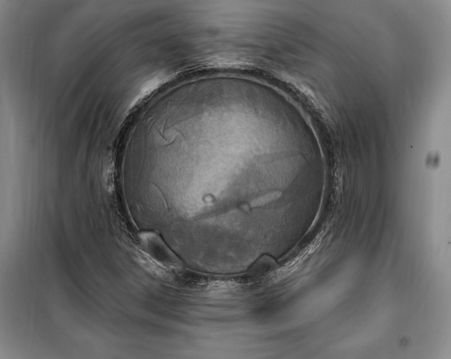 X0000100321306200806121054