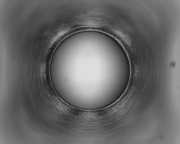 X0000100321307200806121054