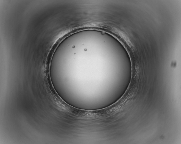 X0000100321308200806121054