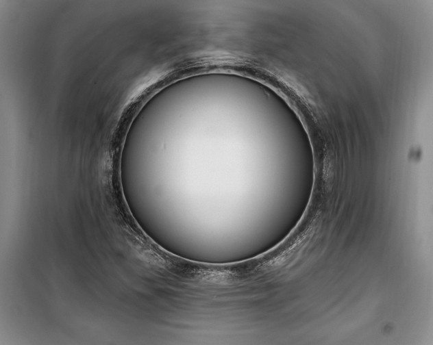 X0000100321309200806121054