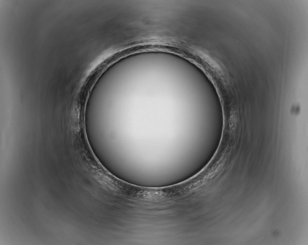 X0000100321310200806121054