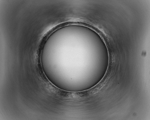 X0000100321311200806121054