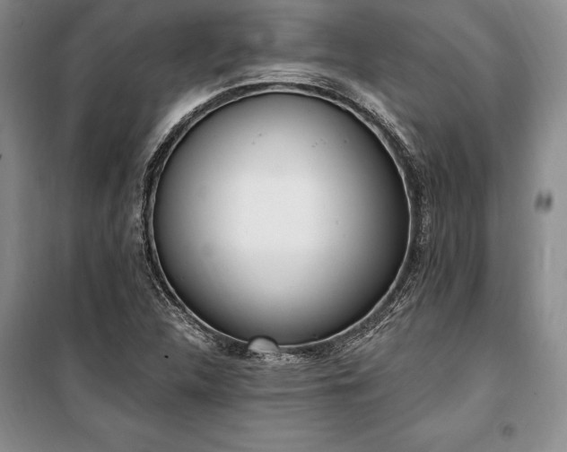 X0000100321312200806121054