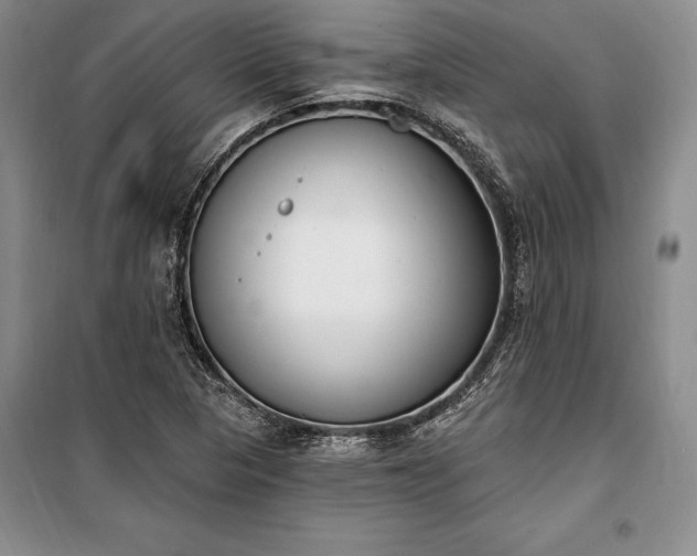 X0000100321313200806121054