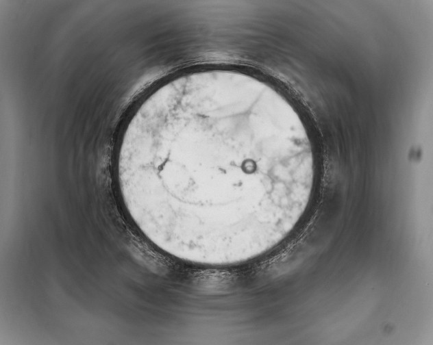 X0000100321314200806121054