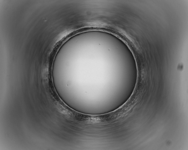 X0000100321315200806121054