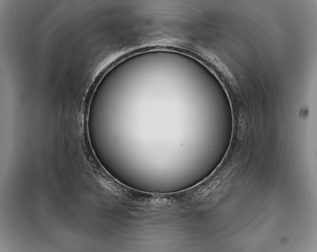 X0000100321316200806121054